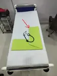 ParrotGreen